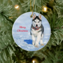 Search for white husky christmas tree decorations Puppy