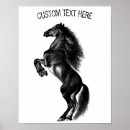 Search for mustang horses posters Black