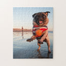 Search for pug puzzles Dog