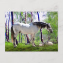 Search for daybreak postcards Nature