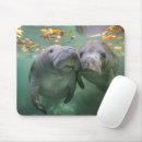 Search for beach babies mousepads Cute baby animal