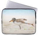 Search for beach baby electronics Long island