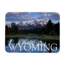 Search for backcountry magnets Forest