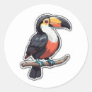 Search for tropical rainforest animals stickers Bird
