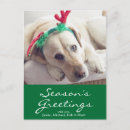 Search for sofa christmas cards No people