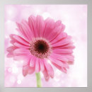 Search for pink gerber Feminine