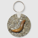 Search for slug key rings Snails