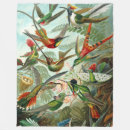Search for hummingbird blankets Ernst haeckel