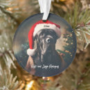 Search for cane corso christmas tree decorations Funny