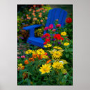 Search for blue zinnia posters Blooming