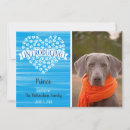 Search for rescued invitations Dogs