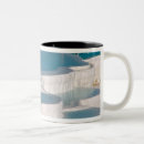 Search for turkey mugs Reflection
