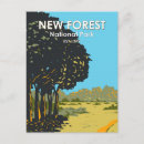 Search for new england postcards Souvenir
