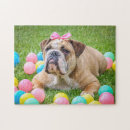 Search for bulldog puzzles Animal