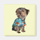 Search for feng shui magnets Zen