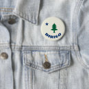 Search for 1901 badges Flag
