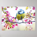 Search for spring bird posters Cute