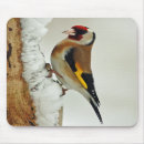 Search for goldfinches mousepads Wildlife