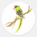 Search for wild birds stickers White