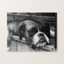 Search for boxer dog puzzles Canine