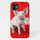 Search for piglet cases Hogs