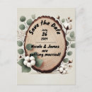 Search for olive trees invitations Flowers