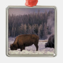 Search for bison christmas tree decorations Animal