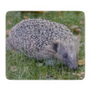 Search for hedgehog chopping boards Animals