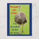 Search for emu postcards Humour
