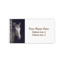 Search for mare photography Horses