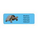 Search for tortoise return address labels Shell