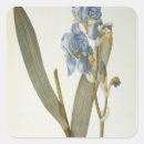 Search for pierre joseph redoute stickers Flower