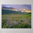 Search for many glacier posters Chuck haney