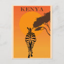 Search for zebra postcards Retro