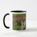Search for magnolia tree mugs Nature