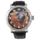 Search for wildlife watches Nature