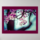 Search for japanese flowers posters Sakura