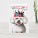 Search for bichon frise birthday cards Dogs