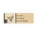 Search for pembroke return address labels Pembroke welsh corgi