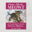 Search for checking in postcards Kitty