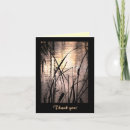 Search for cattail cattail cards Lake