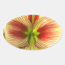 Search for amaryllis stickers White