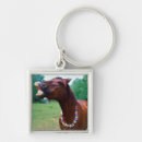 Search for necklace key rings Close up