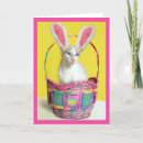 Search for happy cat easter cards Rabbit