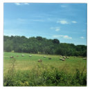 Search for bale tiles Hay