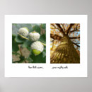 Search for acorns posters Tree