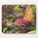 Search for red and gold trees electronics Nature