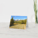 Search for nymph cards Nature