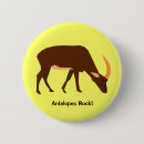 Search for antelopes badges Animal