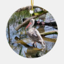 Search for pelican christmas tree decorations Wild